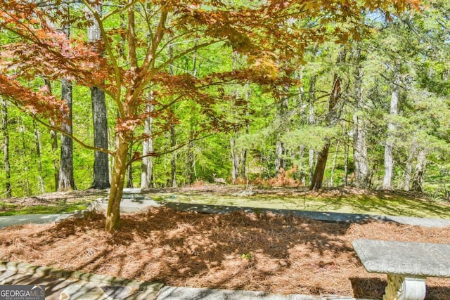 view of yard featuring a view of trees