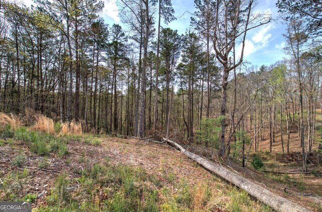 259 High River Rd, Ellijay, GA 30540