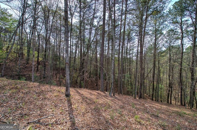 259 High River Rd, Ellijay, GA 30540