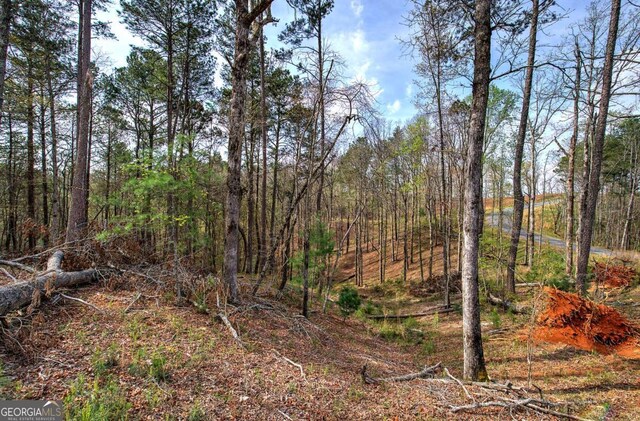 259 High River Rd, Ellijay, GA 30540