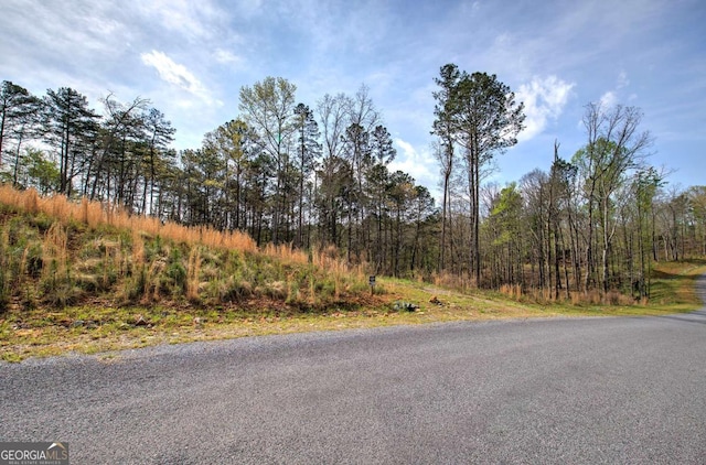 259 High River Rd, Ellijay, GA 30540