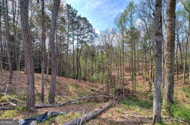 259 High River Rd, Ellijay, GA 30540
