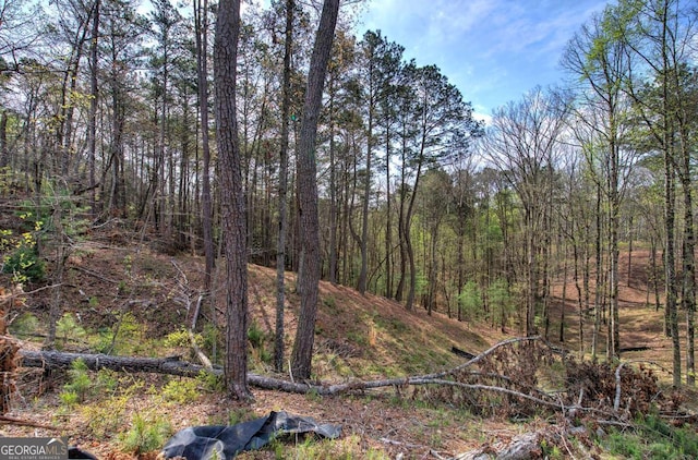 259 High River Rd, Ellijay, GA 30540