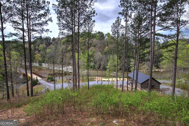 259 High River Rd, Ellijay, GA 30540
