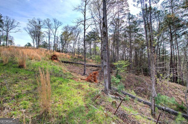 259 High River Rd, Ellijay, GA 30540