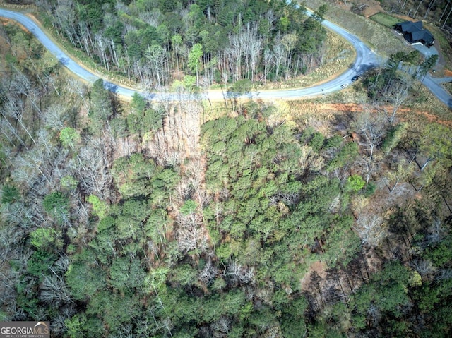 259 High River Rd, Ellijay, GA 30540