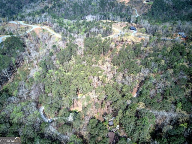 259 High River Rd, Ellijay, GA 30540