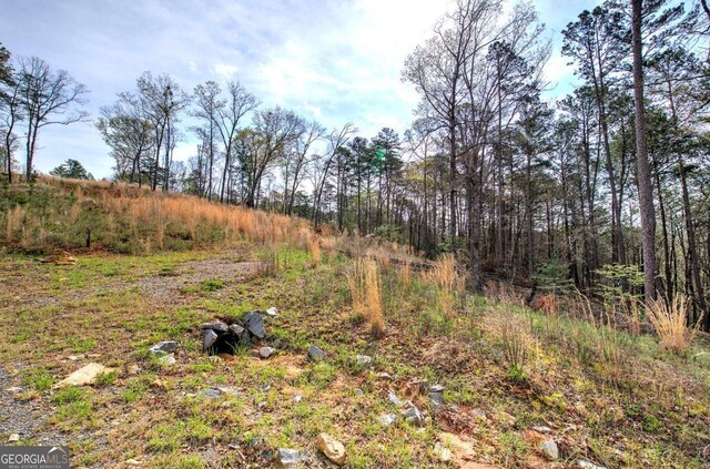 259 High River Rd, Ellijay, GA 30540