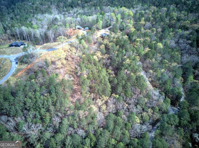 259 High River Rd, Ellijay, GA 30540