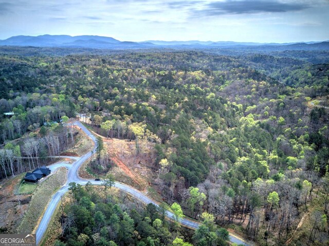 259 High River Rd, Ellijay, GA 30540
