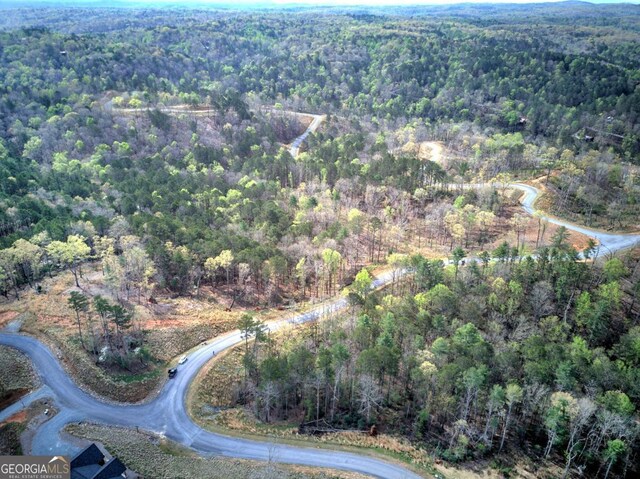 259 High River Rd, Ellijay, GA 30540