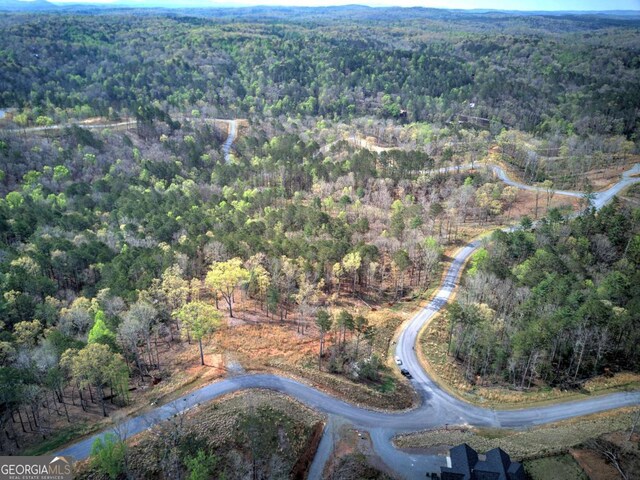 259 High River Rd, Ellijay, GA 30540