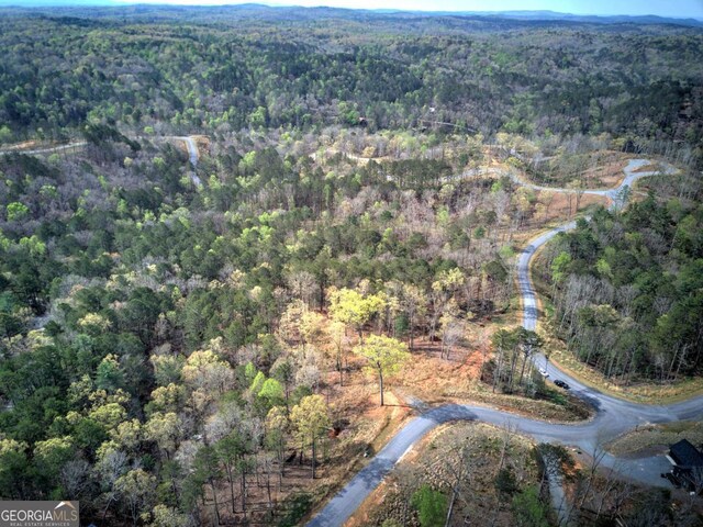 259 High River Rd, Ellijay, GA 30540