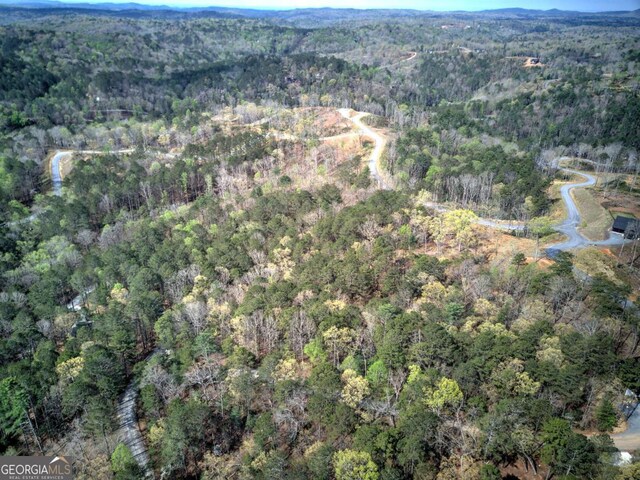 259 High River Rd, Ellijay, GA 30540