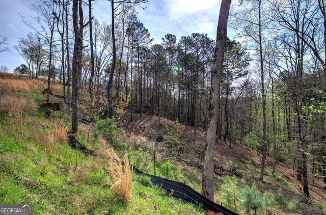 259 High River Rd, Ellijay, GA 30540