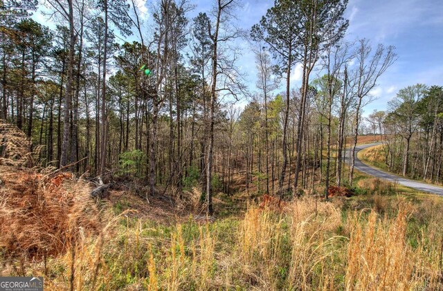 259 High River Rd, Ellijay, GA 30540
