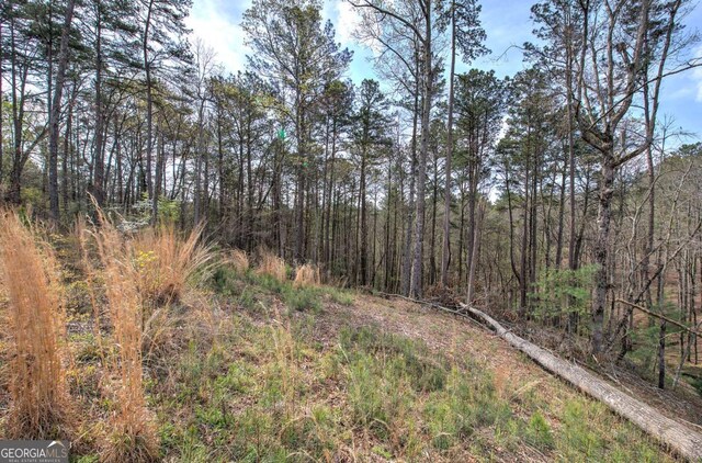 259 High River Rd, Ellijay, GA 30540