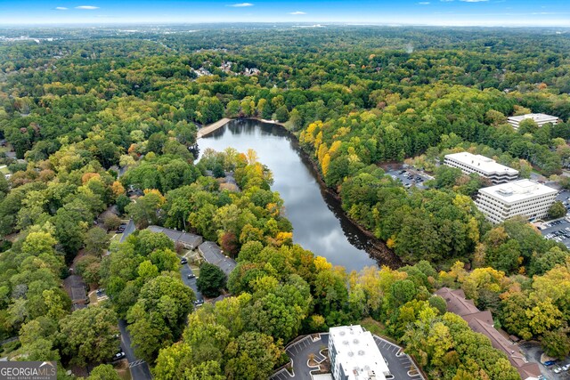 2404 Northlake Ct, Atlanta, GA 30345 - bird's eye view featuring a water view and a view of trees