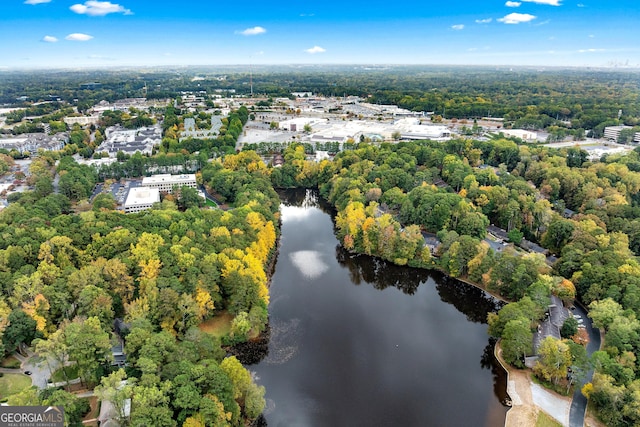 2404 Northlake Ct, Atlanta, GA 30345 - drone / aerial view with a water view