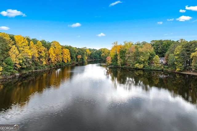 2404 Northlake Ct, Atlanta, GA 30345 - property view of water with a forest view