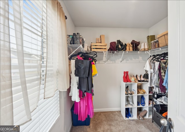 3464 Enterkin Ln, Atlanta, GA 30349 - walk in closet with carpet flooring