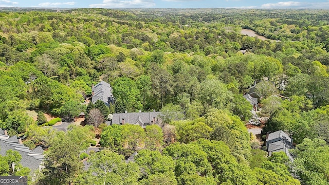 171 Riverview Trl, Roswell, GA 30075 - bird's eye view of a heavily wooded area