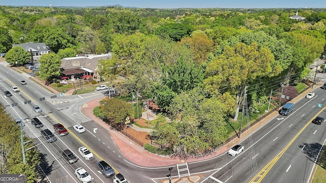 171 Riverview Trl, Roswell, GA 30075 - aerial view of property's location with a forest