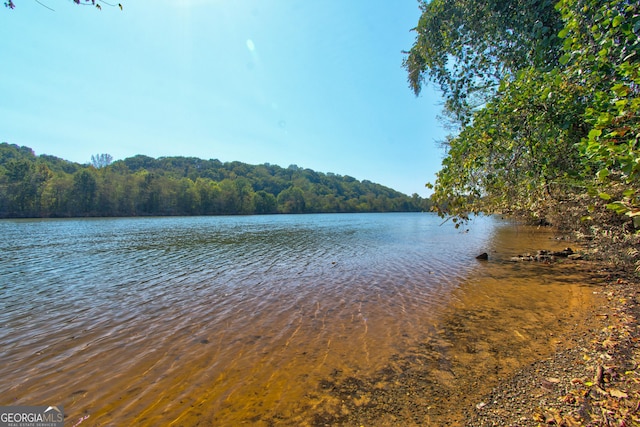 171 Riverview Trl, Roswell, GA 30075 - water view featuring a heavily wooded area
