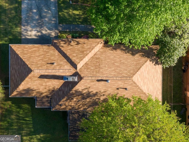 bird's eye view