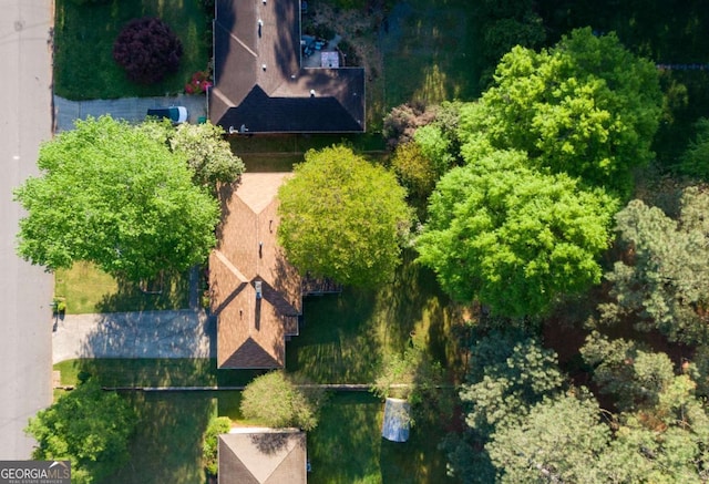 bird's eye view