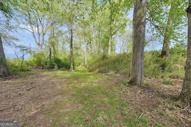 view of local wilderness