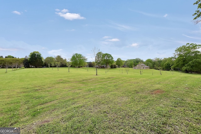view of yard with a rural view