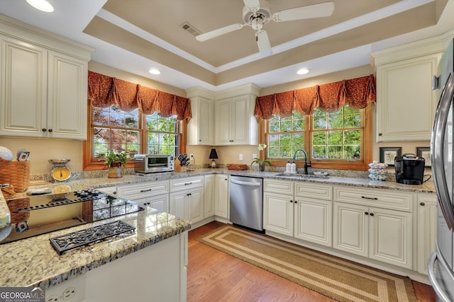 kitchen featuring a raised ceiling, a sink, plenty of natural light, and stainless steel appliances