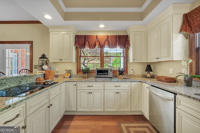 kitchen featuring light stone counters, a toaster, light wood-style floors, a tray ceiling, and dishwasher