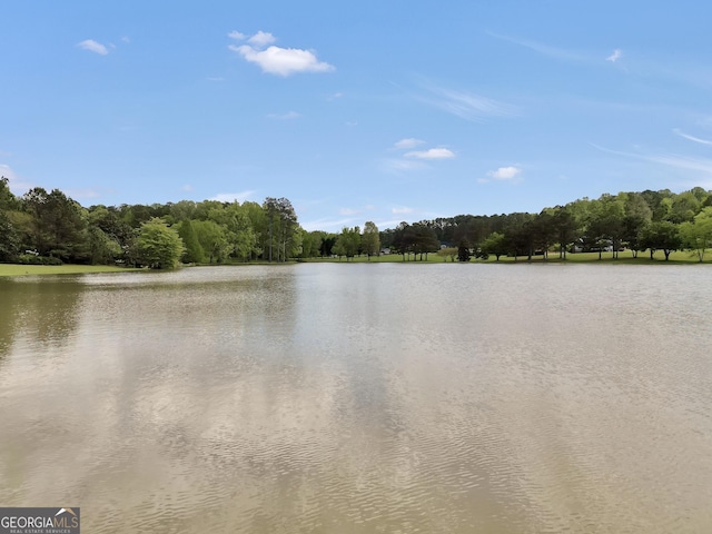 view of water feature featuring a view of trees