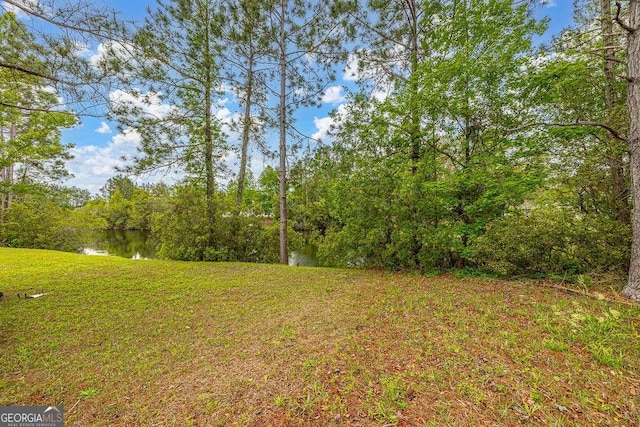 145 Spring Lake Cir, Brunswick, GA 31525 - view of yard featuring a water view