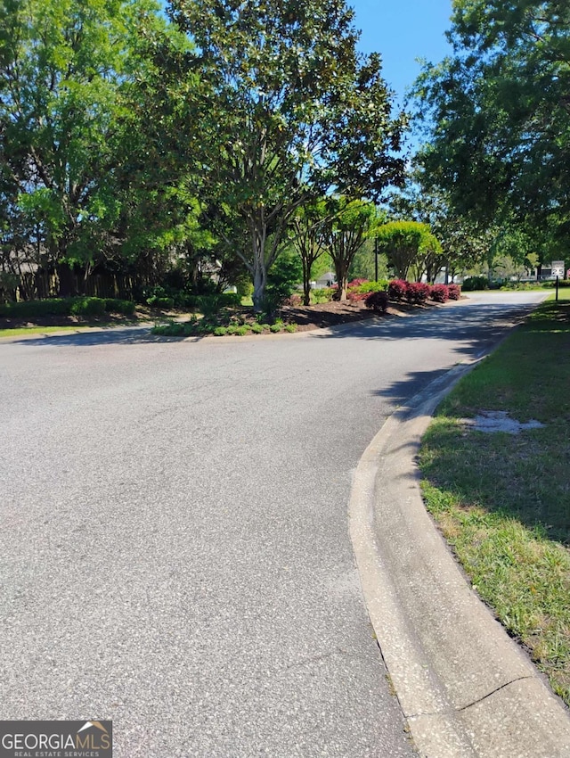 145 Spring Lake Cir, Brunswick, GA 31525 - view of street with curbs
