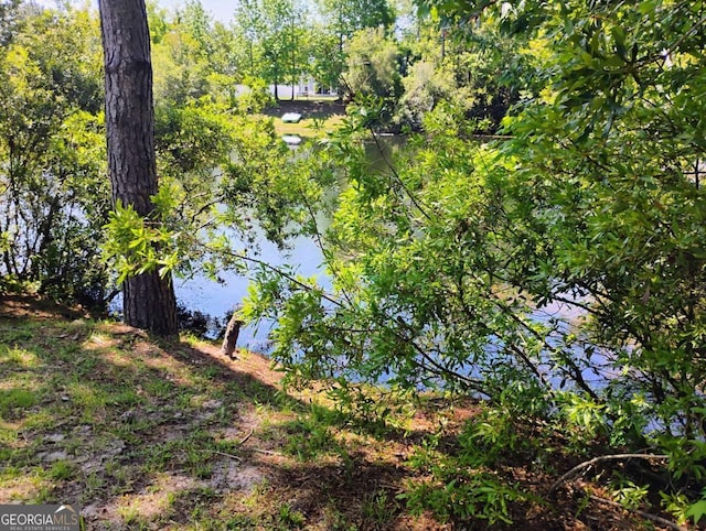 145 Spring Lake Cir, Brunswick, GA 31525 - exterior space