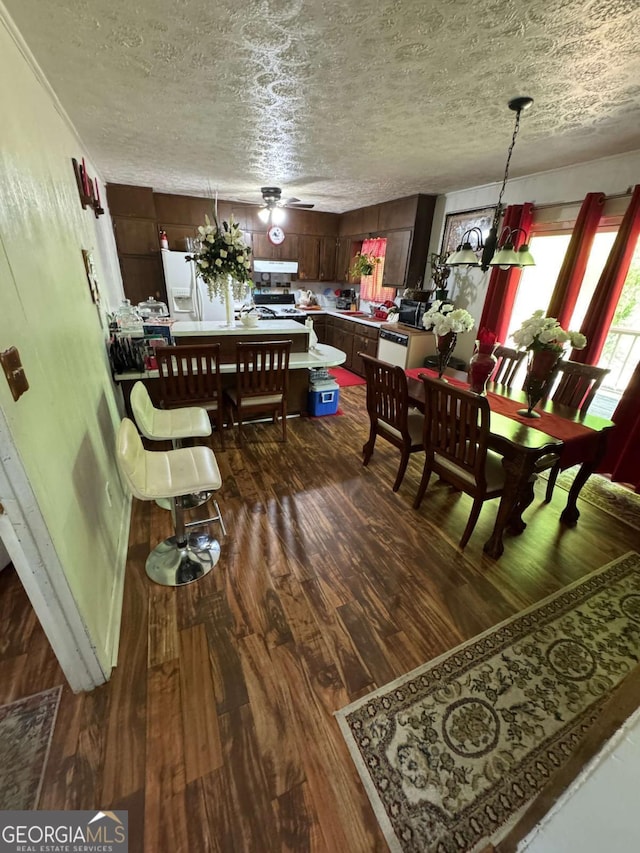 6695 Cedar Hurst Trl, Atlanta, GA 30349 - dining room with dark wood-style flooring and a textured ceiling