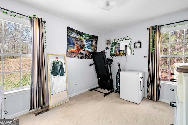 33 Blue Springs Way, Dallas, GA 30157 - bedroom with light colored carpet, baseboards, and a textured ceiling