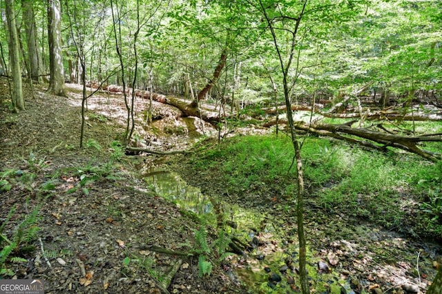 1472 Grizzle Rd, Dawsonville, GA 30534 - view of wooded area
