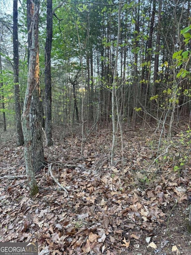 1057 Mayfield Ln NE, Ranger, GA 30734