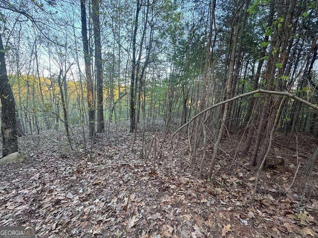1057 Mayfield Ln NE, Ranger, GA 30734