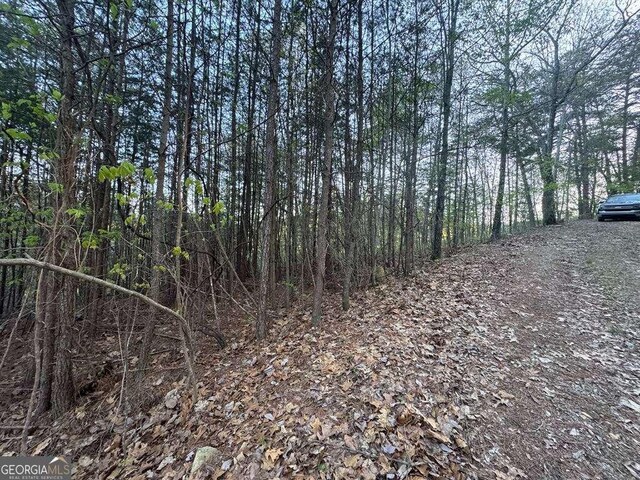 1057 Mayfield Ln NE, Ranger, GA 30734