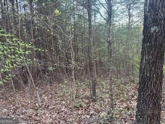 1057 Mayfield Ln NE, Ranger, GA 30734