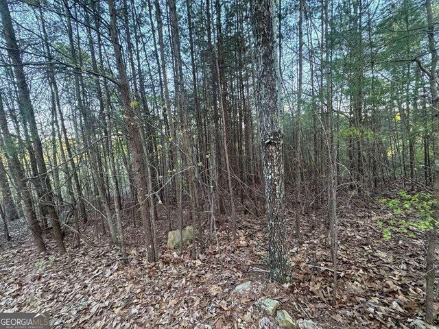 1057 Mayfield Ln NE, Ranger, GA 30734
