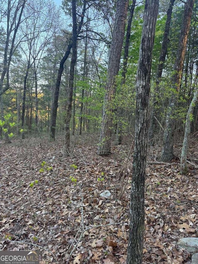 1057 Mayfield Ln NE, Ranger, GA 30734