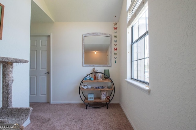 interior space featuring carpet flooring, baseboards, and a wealth of natural light