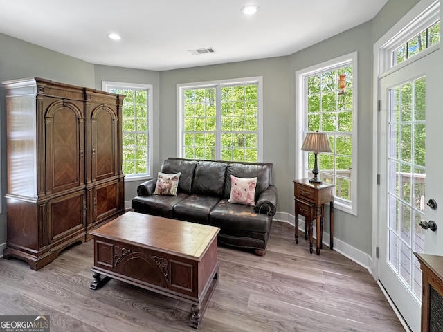 150 Fauna Meadows Dr, Newnan, GA 30263 - living area featuring light wood finished floors, plenty of natural light, and recessed lighting