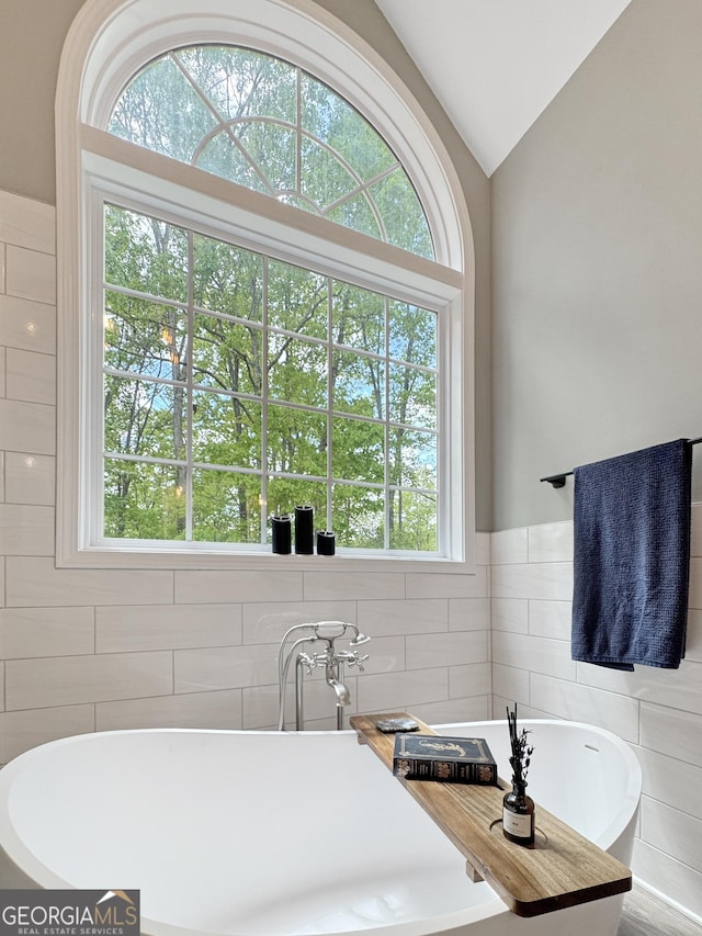 150 Fauna Meadows Dr, Newnan, GA 30263 - bathroom featuring a freestanding bath and vaulted ceiling